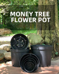 Load image into Gallery viewer, money tree plastic nursery pots multi size