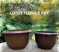 Load image into Gallery viewer, lotus plastic flower pots, brown planters for water plants bulk supply