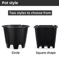 Load image into Gallery viewer, Blueberry Plastic Plant Pots, Round & Square T-Shaped Styles, Heavy Duty Drainage Nursery Pots for Fruit Vegetable Gardening, Bulk Supply