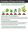 Load image into Gallery viewer, Blueberry Plastic Plant Pots, Round & Square T-Shaped Styles, Heavy Duty Drainage Nursery Pots for Fruit Vegetable Gardening, Bulk Supply