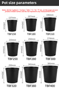 Load image into Gallery viewer, Money Tree Plastic Flower Pots, Multi-Size with Drainage Holes, Heavy Duty Nursery Pots for Indoor & Outdoor Gardening, Bulk Supply