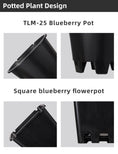 Load image into Gallery viewer, Blueberry Plastic Plant Pots, Round & Square T-Shaped Styles, Heavy Duty Drainage Nursery Pots for Fruit Vegetable Gardening, Bulk Supply
