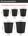 Load image into Gallery viewer, Money Tree Root Control Plastic Flower Pots, Multi-Size Available, Drainage Design for Indoor & Outdoor Gardening, Bulk Supply