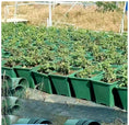 Load image into Gallery viewer, Square Gallon Plastic Flower Pots, Green Planters with Drainage Holes for Indoor Outdoor Gardening, Bulk Supply