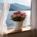Load image into Gallery viewer, OUMUHE 12.6Inch Plastic Planters with Drainage and Saucers, Set of 4, Large Flower Pots for Indoor Outdoor Plants, Available in Terracotta & White