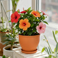 Load image into Gallery viewer, OUMUHE 13.8 Inch Plastic Planters with Drainage and Saucers, Set of 2, Large Flower Pots for Indoor Outdoor Plants, Available in Terracotta & White