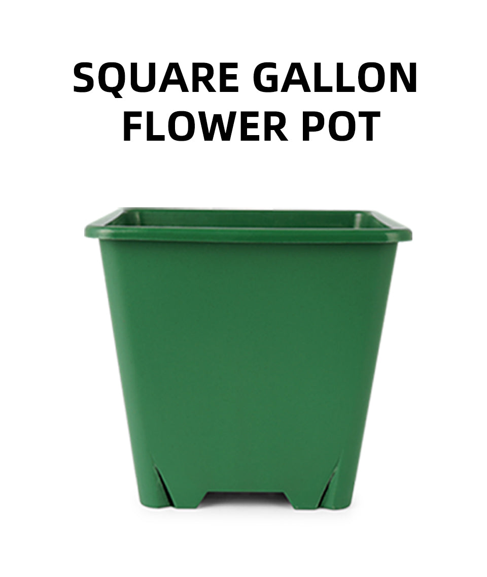 square gallon plastic flower pots, green planters with drainage holes