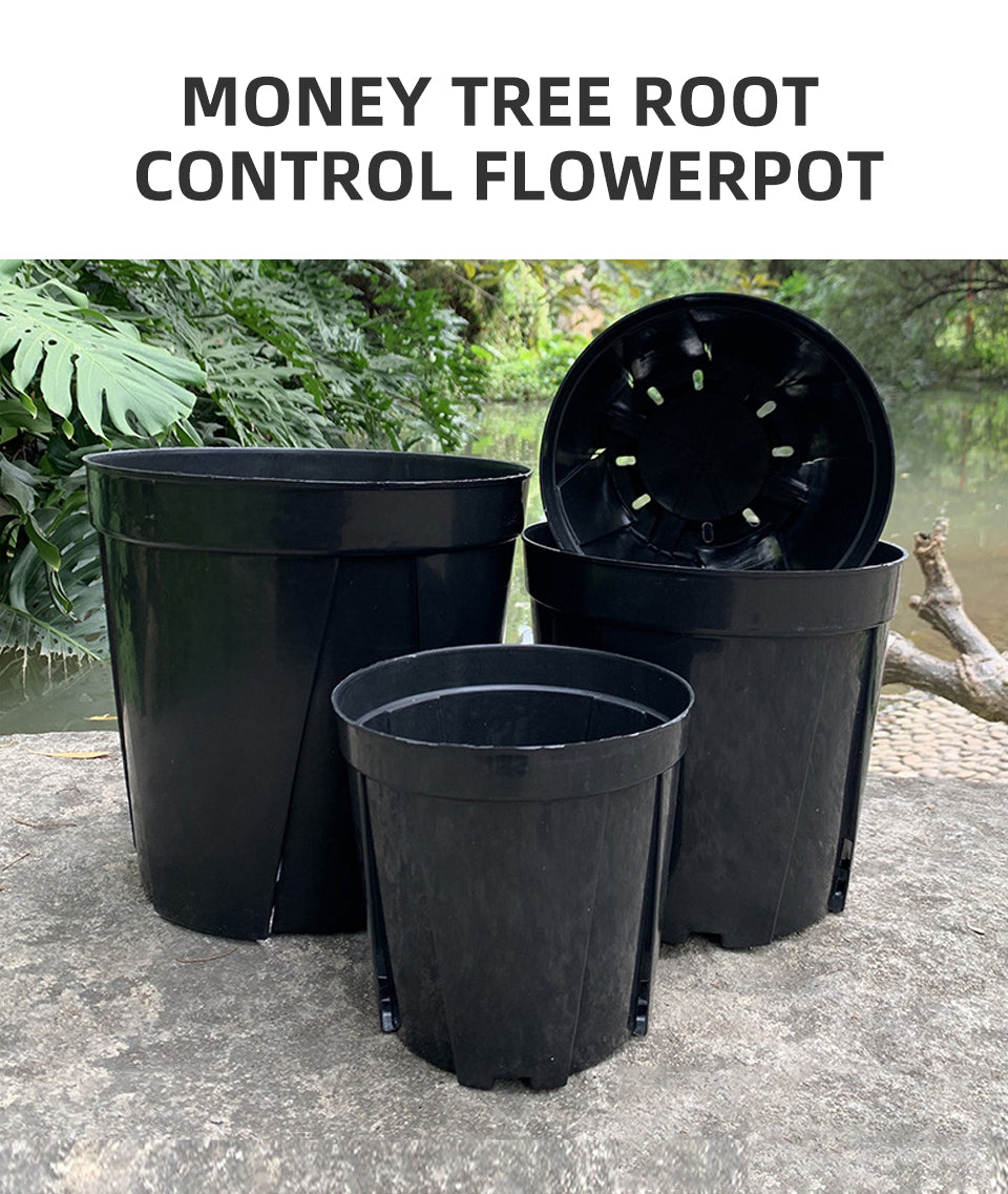 Money Tree Root Control Plastic Flower Pots Multi-Size
