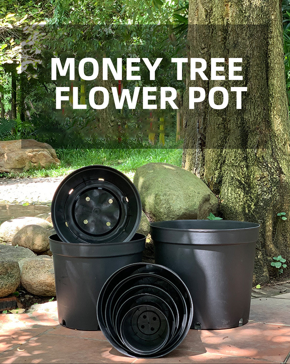 money tree plastic nursery pots multi size