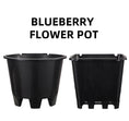 Load image into Gallery viewer, Blueberry plastic plant pots round square styles
