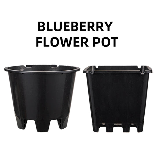 Blueberry plastic plant pots round square styles