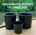 Load image into Gallery viewer, T Series Galvanized Bucket Plastic Plant Pots Dual Handle/Earless Multi-Size
