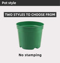 Load image into Gallery viewer, Net Bottom Gallon Plastic Flower Pots, Green Planters with Drainage for Gardening, Bulk Supply

