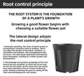 Load image into Gallery viewer, Money Tree Root Control Plastic Flower Pots, Multi-Size Available, Drainage Design for Indoor & Outdoor Gardening, Bulk Supply
