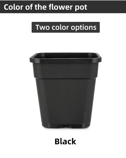 Square Plastic Flower Pots, Black/White Planters with Drainage Holes for Indoor Outdoor Gardening, Bulk Supply