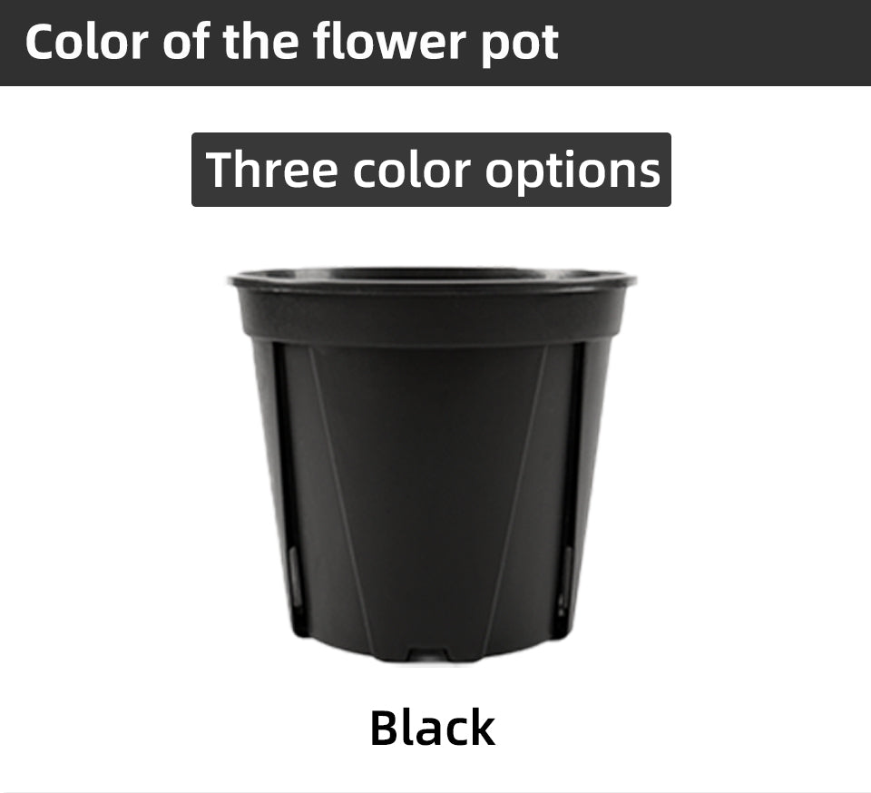Green Mountains Root Control Plastic Flower Pots, Multi-Size, 3 Color Options for Indoor & Outdoor Gardening, Bulk Supply