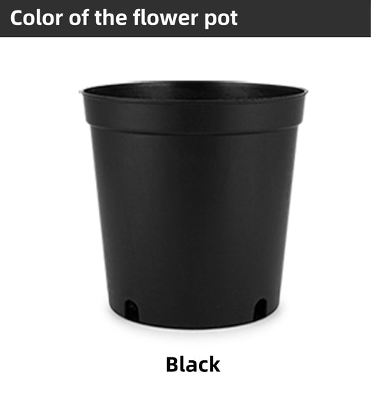 Money Tree Plastic Flower Pots, Multi-Size with Drainage Holes, Heavy Duty Nursery Pots for Indoor & Outdoor Gardening, Bulk Supply