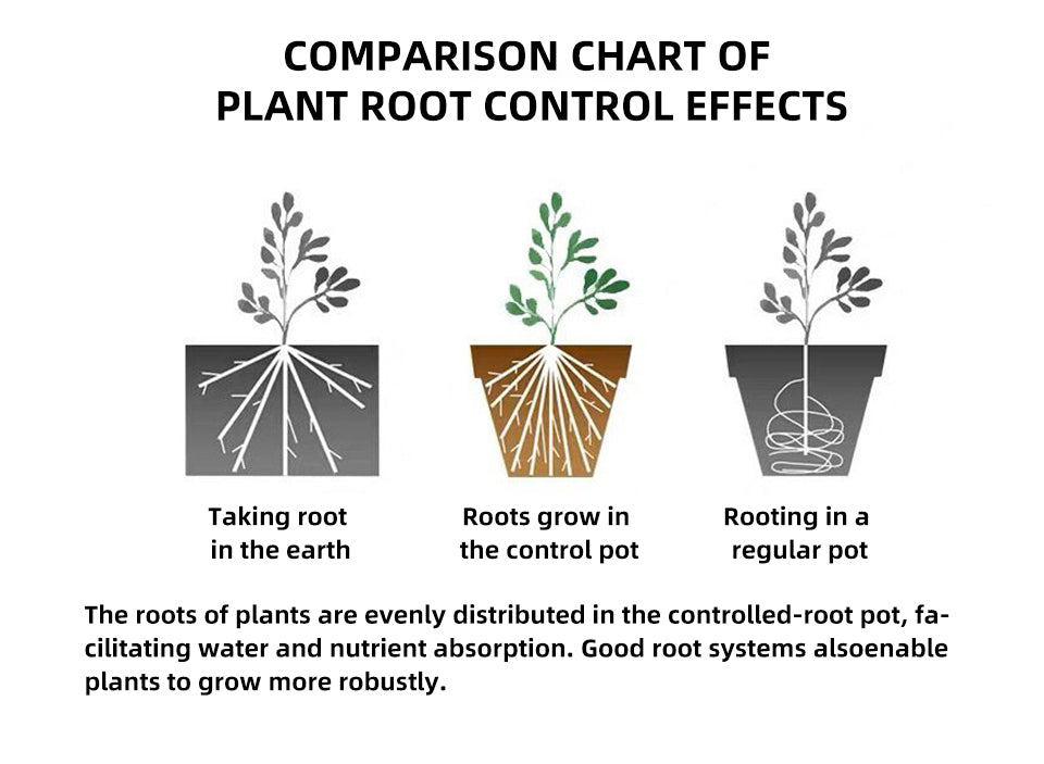Money Tree Root Control Plastic Flower Pots, Multi-Size Available, Drainage Design for Indoor & Outdoor Gardening, Bulk Supply