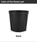 Load image into Gallery viewer, Money Tree Root Control Plastic Flower Pots, Multi-Size Available, Drainage Design for Indoor & Outdoor Gardening, Bulk Supply
