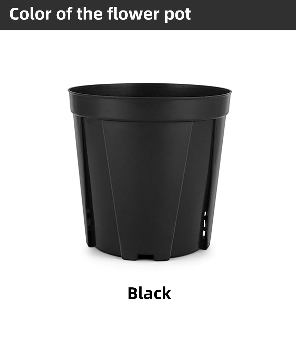 Money Tree Root Control Plastic Flower Pots, Multi-Size Available, Drainage Design for Indoor & Outdoor Gardening, Bulk Supply
