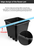 Load image into Gallery viewer, Blueberry Plastic Plant Pots, Round & Square T-Shaped Styles, Heavy Duty Drainage Nursery Pots for Fruit Vegetable Gardening, Bulk Supply
