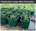 Load image into Gallery viewer, Square Gallon Plastic Flower Pots, Green Planters with Drainage Holes for Indoor Outdoor Gardening, Bulk Supply
