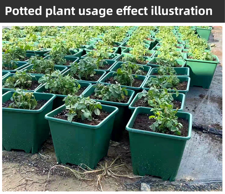 Square Gallon Plastic Flower Pots, Green Planters with Drainage Holes for Indoor Outdoor Gardening, Bulk Supply