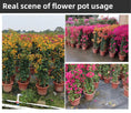 Load image into Gallery viewer, Round Reverse Edge Plastic Flower Pots, Brick Red, Large Size Drainage Nursery Pots for Bougainvillea & Gardening, Bulk Supply
