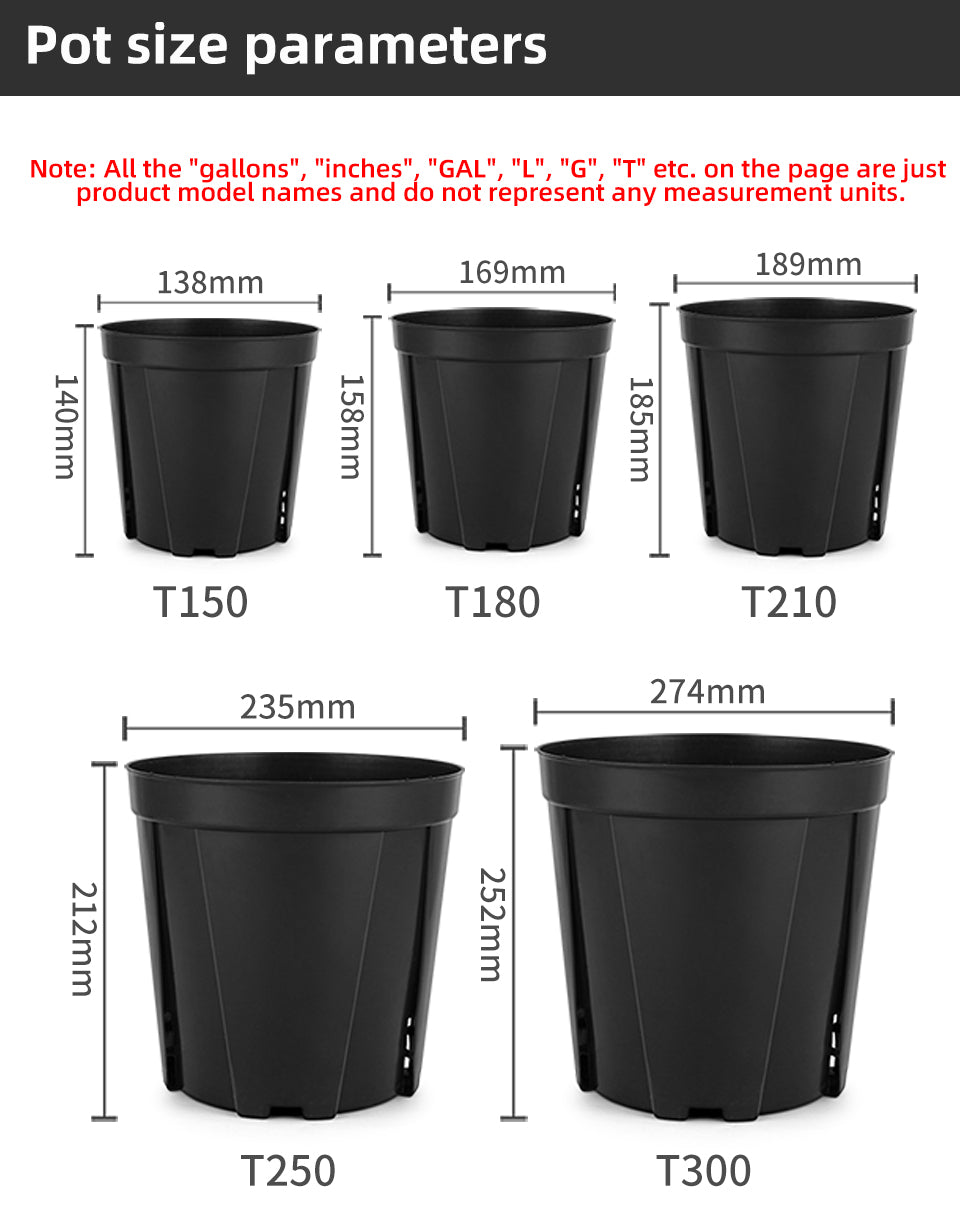 Money Tree Root Control Plastic Flower Pots, Multi-Size Available, Drainage Design for Indoor & Outdoor Gardening, Bulk Supply