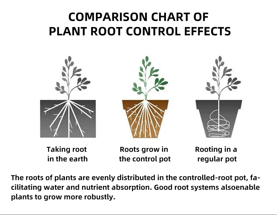Green Mountains Root Control Plastic Flower Pots, Multi-Size, 3 Color Options for Indoor & Outdoor Gardening, Bulk Supply
