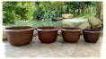 Load image into Gallery viewer, Lotus Plastic Flower Pots, Brown Planters with Drainage for Water Plants & Garden, Bulk Supply
