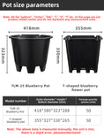 Load image into Gallery viewer, Blueberry Plastic Plant Pots, Round & Square T-Shaped Styles, Heavy Duty Drainage Nursery Pots for Fruit Vegetable Gardening, Bulk Supply
