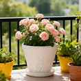 Load image into Gallery viewer, OUMUHE 11.4 Inch Plastic Planters with Drainage and Saucers, Set of 3, Decorative Flower Pots for Indoor Outdoor Use, Available in Terracotta & White
