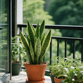 Load image into Gallery viewer, OUMUHE 11.4 Inch Plastic Planters with Drainage and Saucers, Set of 3, Decorative Flower Pots for Indoor Outdoor Use, Available in Terracotta & White
